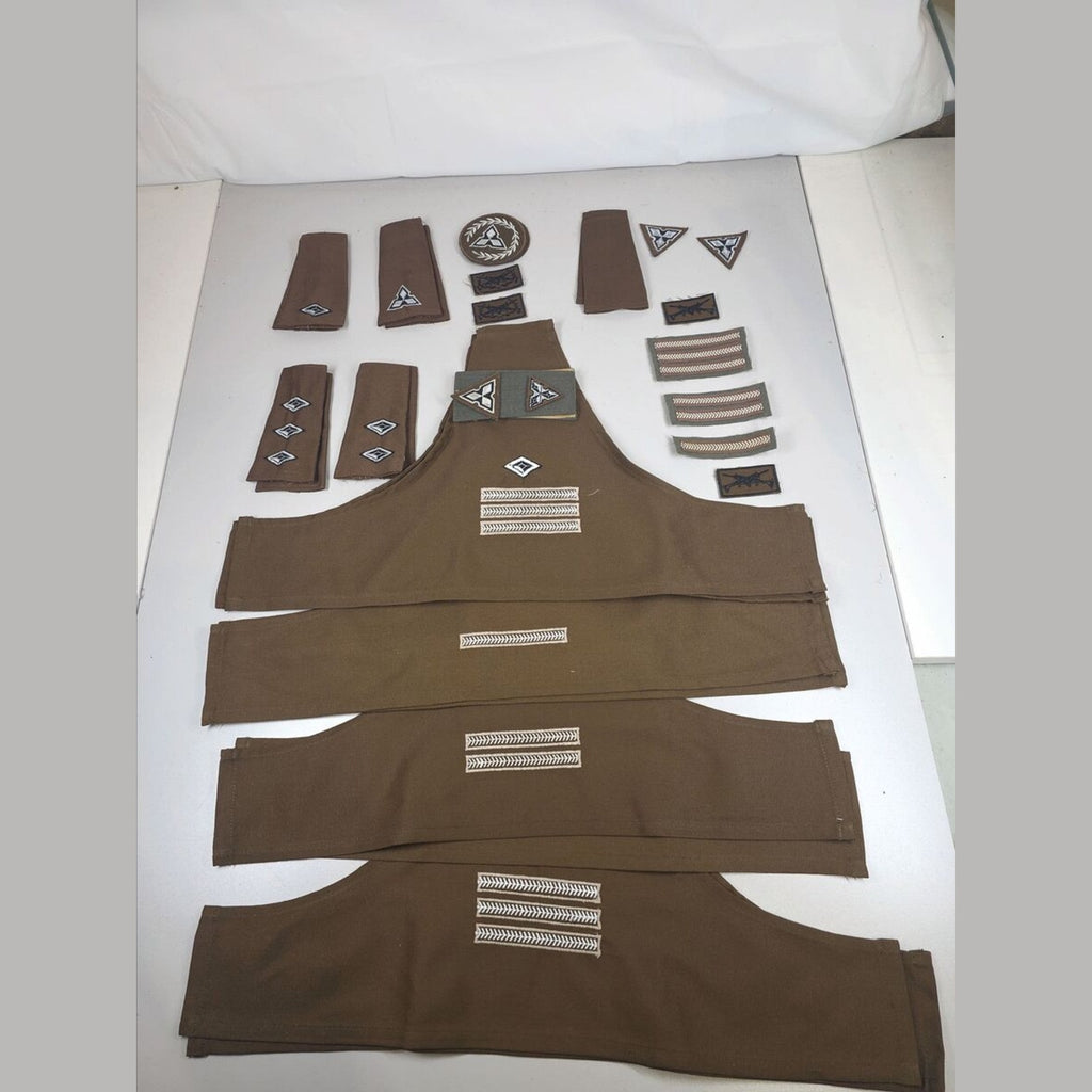 SWA Territorial Force Rank & Qualification Insignia Group – Arm Brassards, Officer Collar Tabs & Formation Badges