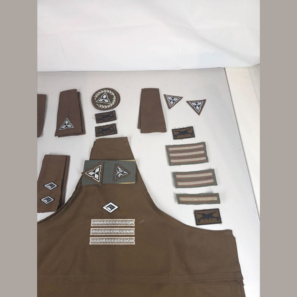 SWA Territorial Force Rank & Qualification Insignia Group – Arm Brassards, Officer Collar Tabs & Formation Badges